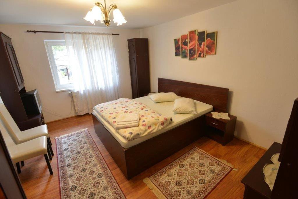 Casa Georgeta Guest House Bran  Eksteriør bilde
